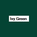 Ivy Green